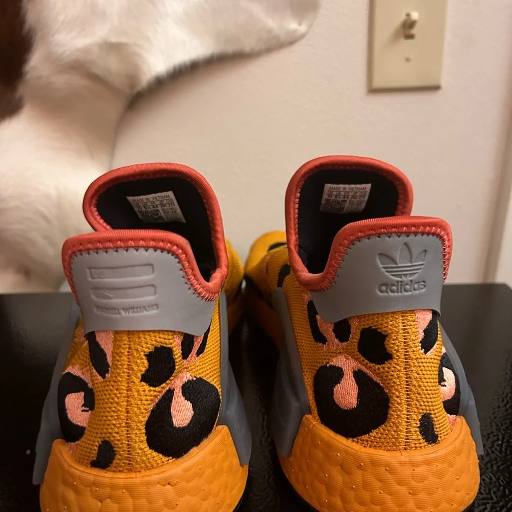 Brand new Pharrell adidas shoes never worn - Picture 3 of 5